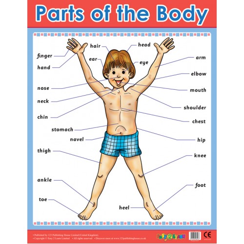 Parts of the Body
