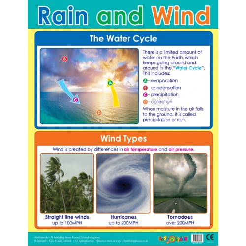 Rain and Wind 