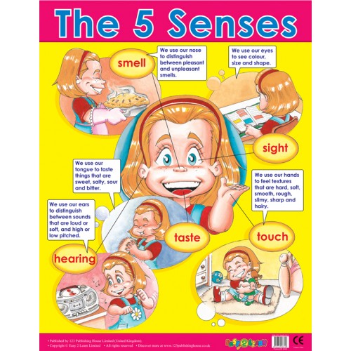 The Five Senses 