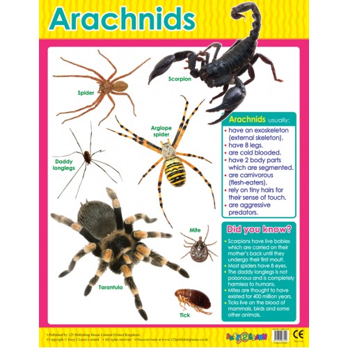 Arachnids 
