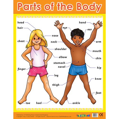 Parts of the Body