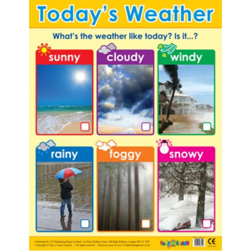 Today's Weather