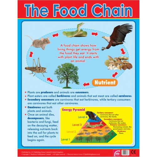 The Food Chain 