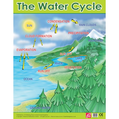 The Water Cycle 
