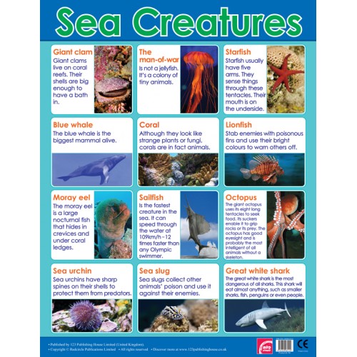 Sea Creatures 