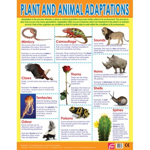 Plants and Animal Adaptions 
