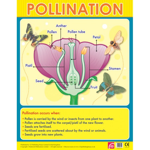 Pollination